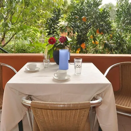 Appartement Toula *